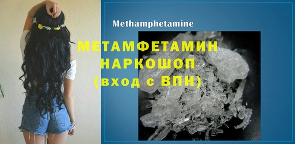 индика Сосновый Бор