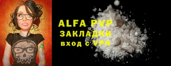 индика Сосновый Бор