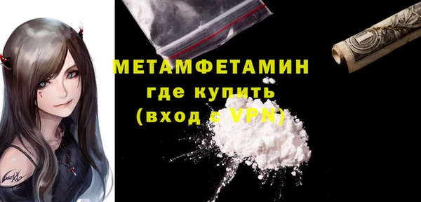 индика Сосновый Бор