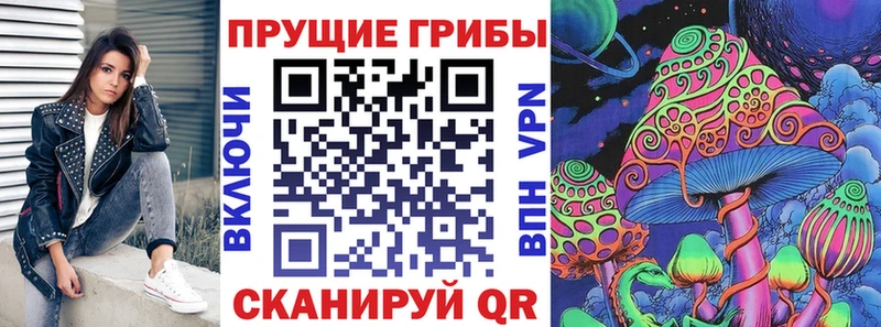 купить наркотик  kraken как зайти  Псилоцибиновые грибы Magic Shrooms  Снежинск 