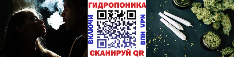 закладки  Снежинск  hydra ссылка  МАРИХУАНА OG Kush 